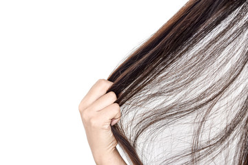 Combing with brush and pulls long hair.Daily preparation for looking nice, Long Disheveled Hair,Holding Messy Unbrushed Dry Hair In Hands.Hair Damage,Health And Beauty Concept,unhappy with dry hair