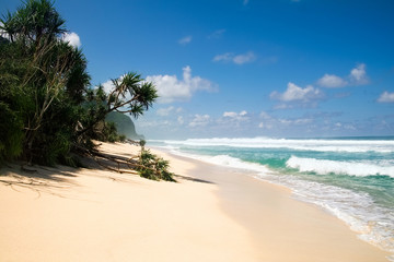 Beautiful secret tropical sea beach with gorgeous waves on the island dream paradise of Bali nature. Indonesia outdoor landscape with fantastic white sand shoreline with palm trees and blue ocean