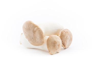 Eryngii mushroom isolated with white background
