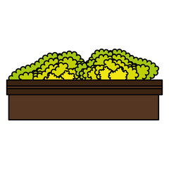 park bush isolated icon vector illustration design