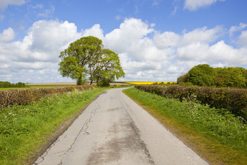 english landscape in springtime