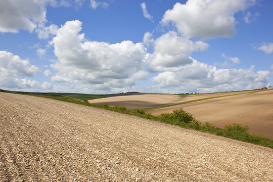 rolling hills and chalky soil