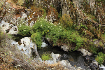 Arroyo de Rocasa en primavera, Sauceda, hurdes, España
