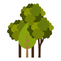 trees plants isolated icon vector illustration design