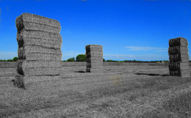Straw towers 2016
