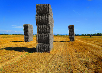 Torri Di Paglia (GIMP 2)2016