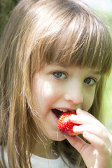 Little beautiful girl eats a juicy fresh strawberries