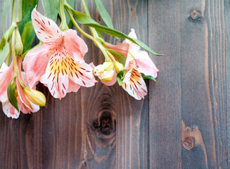 Spring background layout on a brown wooden background with nice fresh flowers and a place to record signatures inscriptions