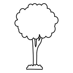 tree plant isolated icon vector illustration design