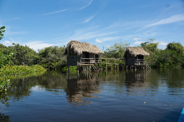 Fototapeta na wymiar mangrove swamp cabins