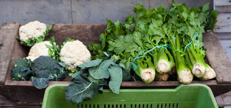 Broccoli, celery and cauliflowers