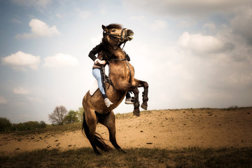 Steigendes Pferd mit Reiter