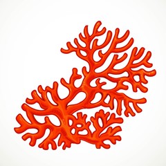 Fototapeta premium Red asymmetric corals marine life object isolated on white background