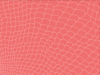 Pink doodle background - 152812413