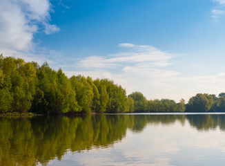 trees around the lake in springtime