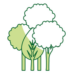 trees plants isolated icon vector illustration design