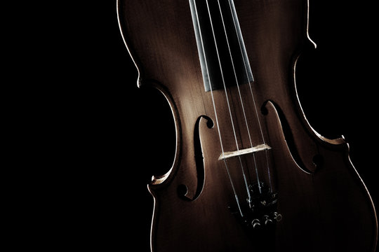 Violin closeup music instrument orchestra Violin strings close up