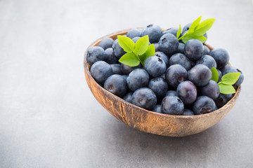 Fresh blueberries natural coconut in a bowl on a gray background.