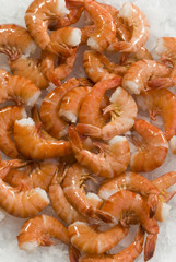 fresh cooked shrimps on ice 