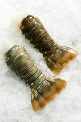fresh raw lobster tail on ice