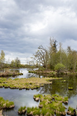 Obraz premium wetlands with cloudy sky