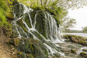 Fototapeta premium Malanphy Springs Lower Waterfall