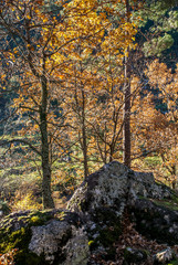 Serra da Estrela, Portugal