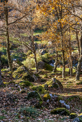 Serra da Estrela, Portugal