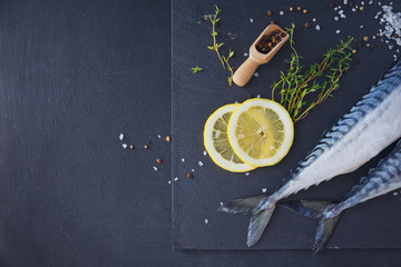 Fresh raw fish mackerel and ingredients for cooking on a dark background in a rustic style.
