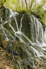 Malanphy Springs Lower Waterfall