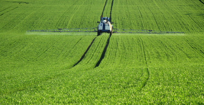 Traitement, pesticides,pesticide,agriculture,intensive, biologique,bio