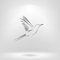 hummingbird vector icon