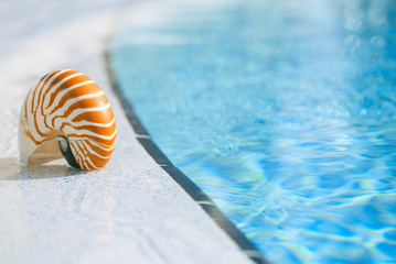 nautilus shell at resort swimming pool edge