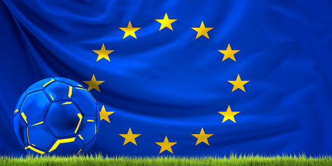 european ball. football ball. soccer theme with green grass meadow 3d rendering