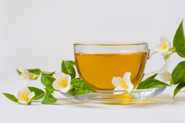 Jasmine tea and Jasmine flowers on a white background