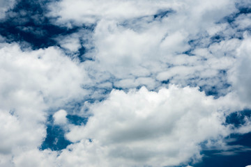 Obraz premium Clear blue sky filled with soft, fluffy white clouds creating a peaceful atmosphere.