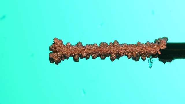 Electrolysis of copper. Electrolytic reduction of copper from solution