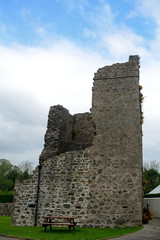 Castle ruins, Quoile, Northern ireland