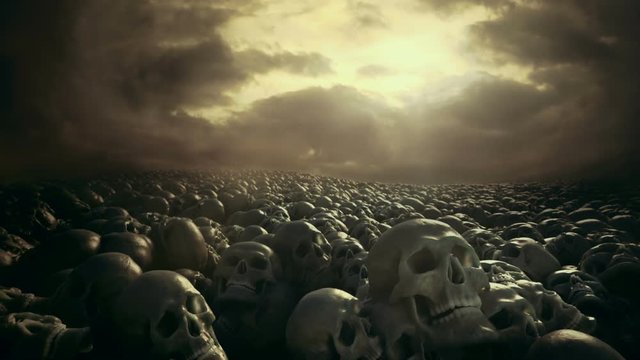 Field of skulls. 