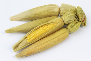 boiled corn isolated on white background