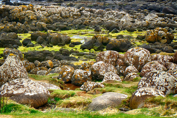Giant's Causeway, Northern Ireland