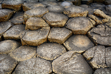 Giant's Causeway, Northern Ireland