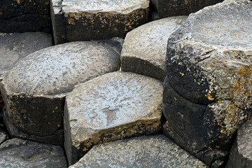 Giant's Causeway, Northern Ireland