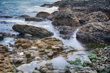 Giant's Causeway, Northern Ireland
