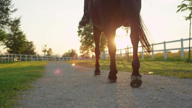 SLOW MOTION CLOSE UP DOF: Rear view of silhouetted horse legs walking along the gravel road on beautiful country ranch at golden sunset. Unrecognizable rider horseback riding beautiful mare at sunrise