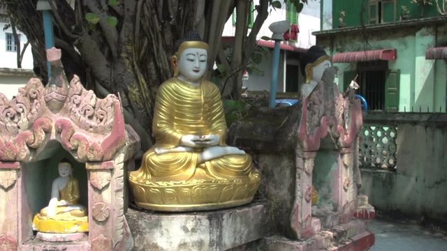Yangon, buddha statues under tree