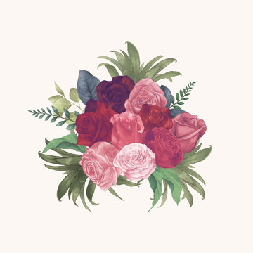 Watercolor Roses Hand Draw Paint Vector