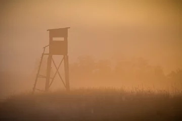 Rolgordijnen Hunting pulpit in the beautiful sunrise © Glasco