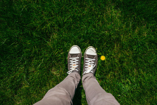 Teenage legs in sneakers on lush springtime grass