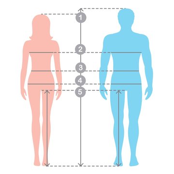 Silhuettes of man and women in full length with measurement lines of body parameters . Man and women sizes measurements. Stock vector cartoon illustration. Human body measurements and proportions.